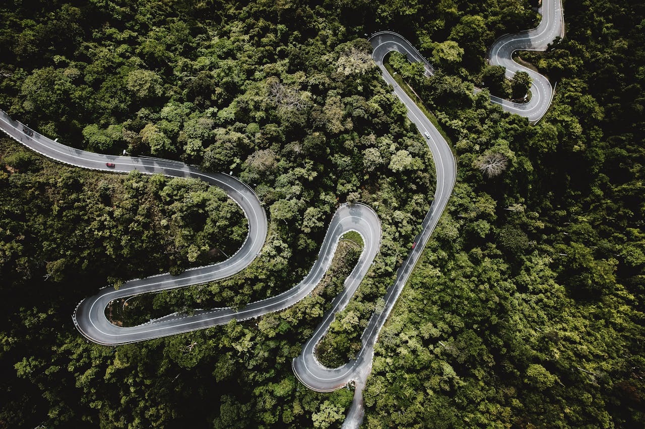 why-choose-us Aerial view of a winding road cutting through a dense green forest, showcasing nature's curves and beauty.